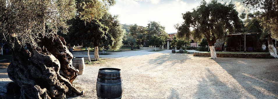 MANOUSAKIS NOSTOS Winery, Kreta - BIO