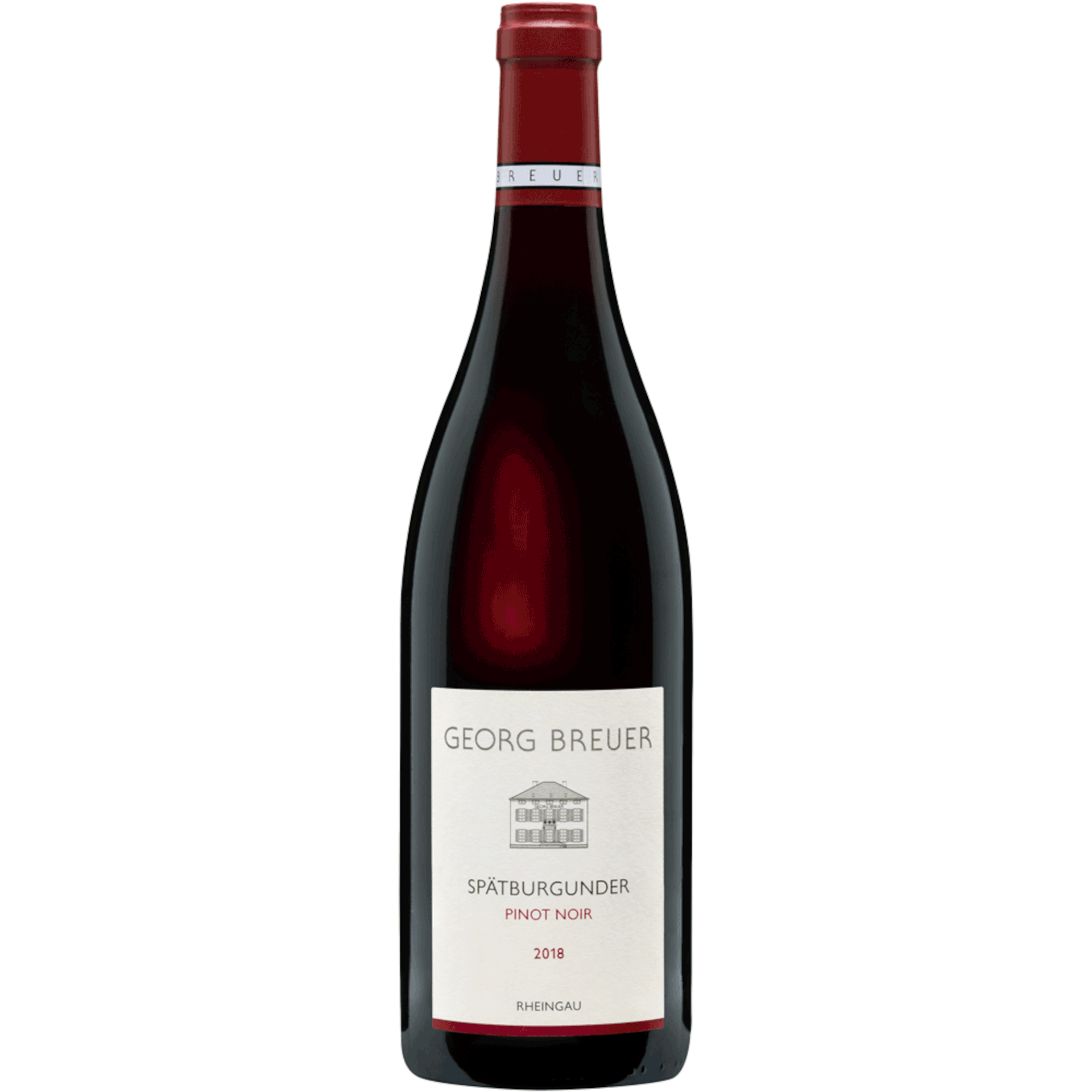 Spätburgunder-Pinot Noir Rheingau, QbA 2021