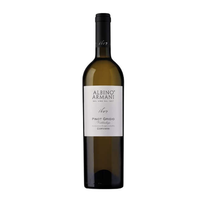 Pinot Grigio 2025, Valdadige DOC