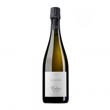 Weinkontor Sinzing 2019 Calcaire Sekt, Blanc de Noir brut nature D0039-31