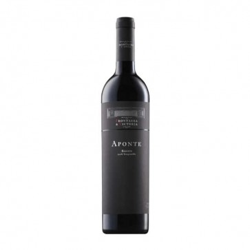 Weinkontor Sinzing 2018 Aponte Reserva, Toro DO ES1094-31