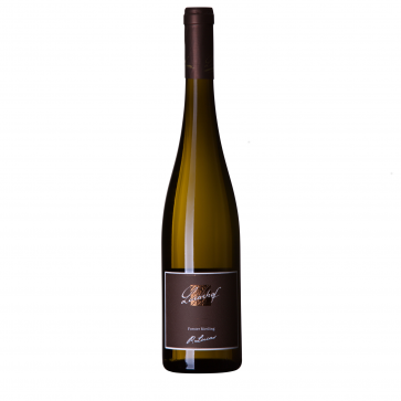Weinkontor Sinzing 2024 Riesling QbA trocken D0084-32