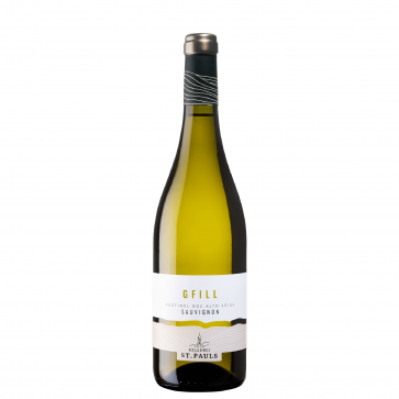 Weinkontor Sinzing 2024 Sauvignon DOC Gfill I1102-32