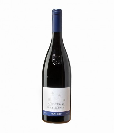 Weinkontor Sinzing 2023 Blauburgunder DOC I1093-31