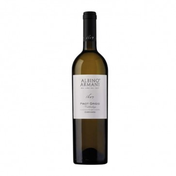 Weinkontor Sinzing Pinot Grigio 2025, Valdadige DOC I1280-31