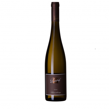 Weinkontor Sinzing 2023 Forster Musenhang Riesling, 1.Lage D00811-32