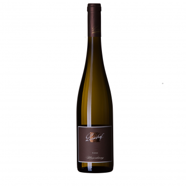 Weinkontor Sinzing 2024 Forster Musenhang Riesling, 1.Lage D00811-32