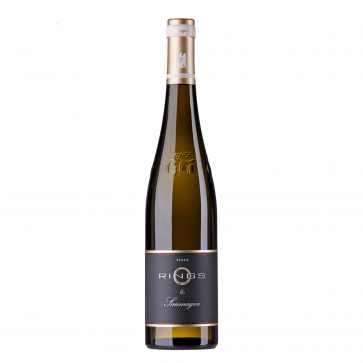 Weinkontor Sinzing 2020 Riesling Saumagen GG D00484-34