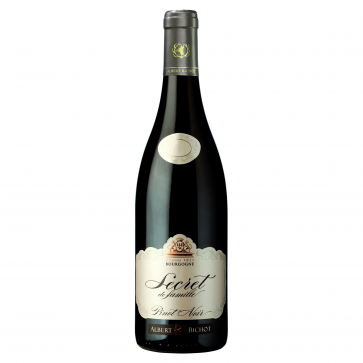Weinkontor Sinzing 2018 Bourgogne Pinot Noir AC, Le Secret de Famille F1130-32