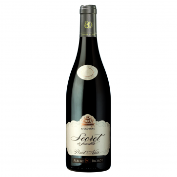 Weinkontor Sinzing Bourgogne Pinot Noir AC, Le Secret de Famille 2023 F1130-32