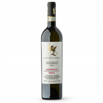 Weinkontor Sinzing Illegale, Monferrato Rosso DOC, Nebbiolo 2020/21 I0857-36