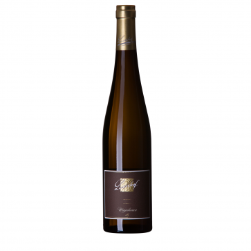 Weinkontor Sinzing 2023 Forster Ungeheuer Riesling LS, große Lage, trocken D0079-32