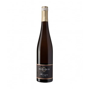 Weinkontor Sinzing 2018 Riesling Saumagen, GG D0483-20