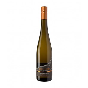 Weinkontor Sinzing 2022 Grauschiefer Riesling QbA trocken D0014-20