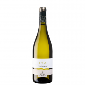 Weinkontor Sinzing 2025 Sauvignon DOC Gfill I1102-20