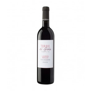 Weinkontor Sinzing 2019 Terre di Gioia Lagrein Merlot IGT Vallagarina I1260-20