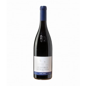 Weinkontor Sinzing 2023 Blauburgunder DOC I1093-20