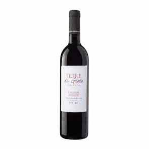 Weinkontor Sinzing Terre di Gioia Lagrein Merlot IGT Vallagarina 2022 I1260-20