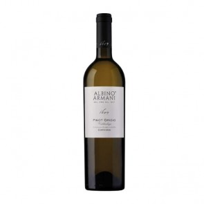 Weinkontor Sinzing Pinot Grigio 2025, Valdadige DOC I1280-20