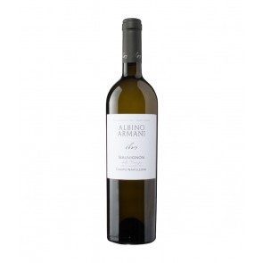 Weinkontor Sinzing 2021 Sauvignon IGT Venezie I1261-20