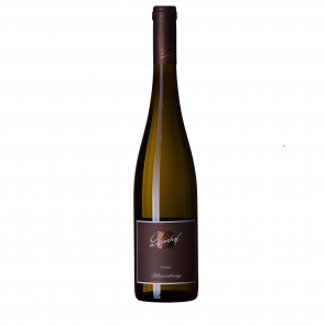 Weinkontor Sinzing 2025 Forster Musenhang Riesling, 1.Lage D00811-20