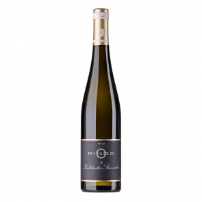 Weinkontor Sinzing 2020 Kallstadter Steinacker Riesling, VDP.Erste Lage D004912-20