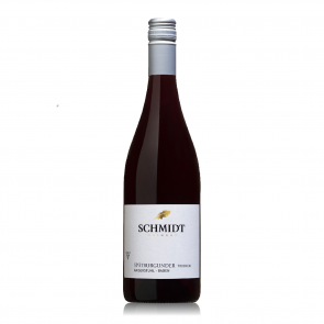 Weinkontor Sinzing 2019 Spätburgunder, QbA trocken D537-20