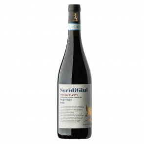 Weinkontor Sinzing 2015 Sori di Giul, Freisa dAsti Superiore DOC I0854-20